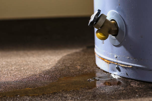 Best Residential water damage restoration  in Mehlville, MO