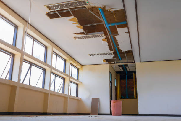 Best Professional water damage repair  in Mehlville, MO