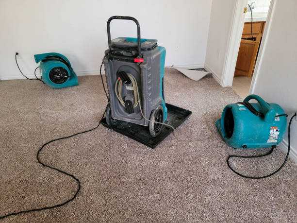 Best Water damage contractors near me  in Mehlville, MO