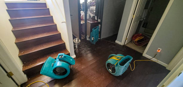 Best Basement water damage restoration  in Mehlville, MO