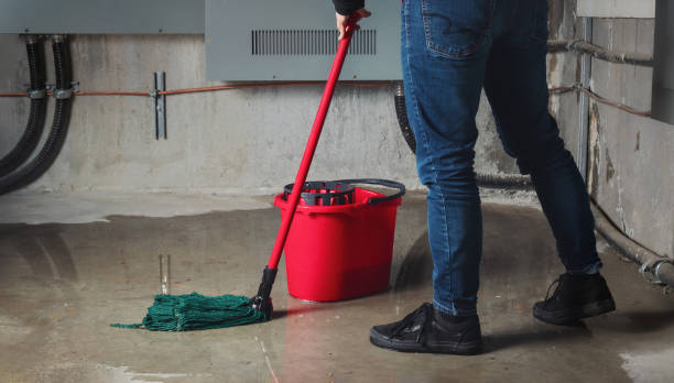 Best 24/7 water damage repair  in Mehlville, MO