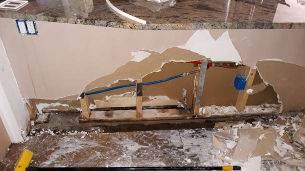 Best Fire Damage Restoration  in Mehlville, MO