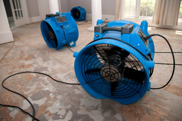 Best Water damage mitigation services  in Mehlville, MO