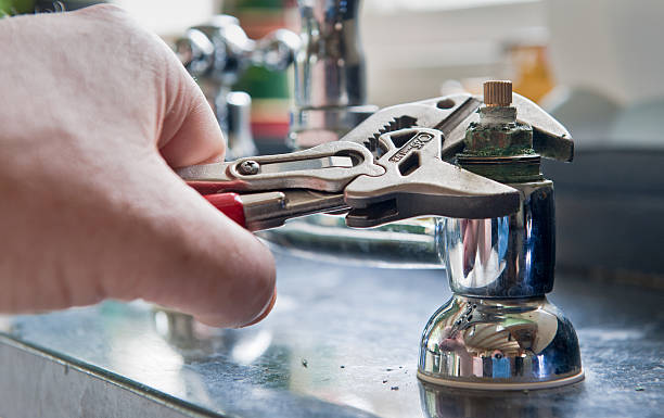 Best Flood restoration services  in Mehlville, MO
