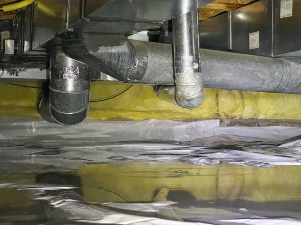 Best Commercial water damage restoration  in Mehlville, MO