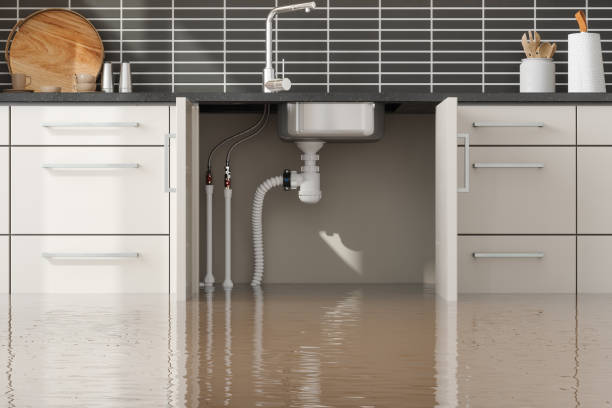 Best Flooded house restoration  in Mehlville, MO